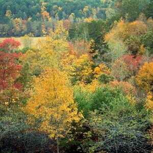 Color peak at 1800 feet southwest of Murphy