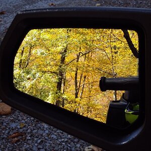 Autumn in the RT rearview