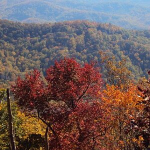 Color peaking at 3000 feet on the Cherohala Skyway