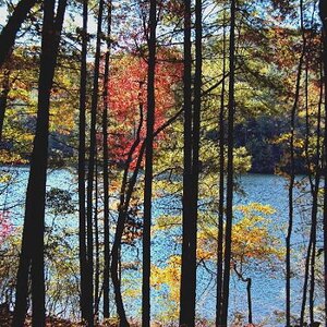 North shore, Lake Santeetla