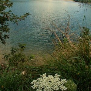 South shore Nantahala Lake