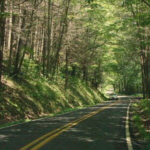 Along Wayah Road on the way to Wayah Bald