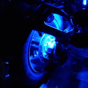 Accent Stingerz Lucky's Ride