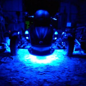 Accent Stingerz Lucky's Ride