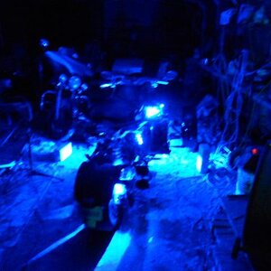 Accent Stingerz Lucky's Ride.           Panel are off Making connections for mech. to remove with out cuttting wires, quick discinnects..