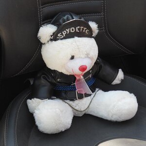 Spydette Bear. RIP! I lost her off the bike someplace.