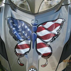 Patriotic butterfly