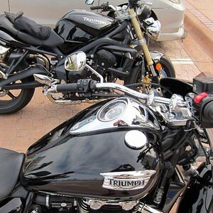 Triumphs at the Beach