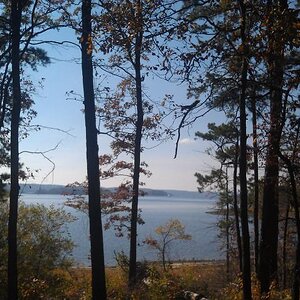 Ouachita National Forest.