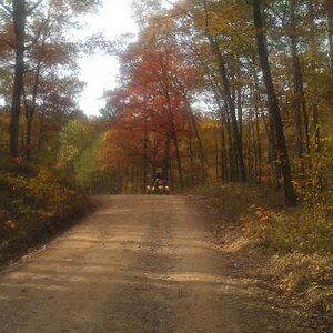 Me on a log road.  Two wheelers couldn't have handled that road, yet not too rough to need an ATV.  Our Spyders rocked them all.