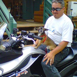 IMG00007 20110918 1635