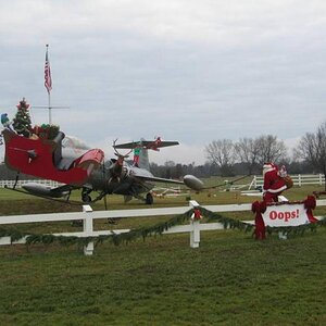 Ultimate Yard Decoration.