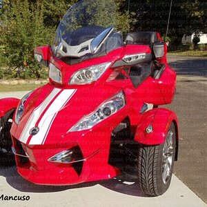 Can-am RT-GT Racing stripes. Available in many different colors or we can add custom effects to them.