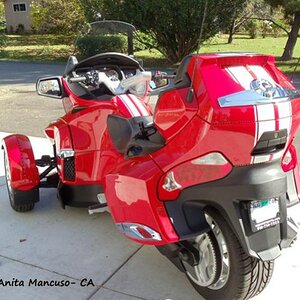 It really finishes the look as the stripe is on the rear trunk as well.  If done in reflective material it is a safety feature as well as adding looks