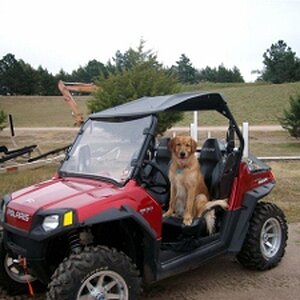 Larry and Bellamy 09 09 09 009 (300x225)