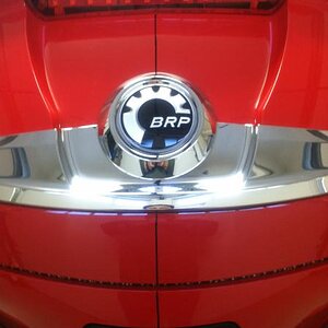 Center line marked on trunk