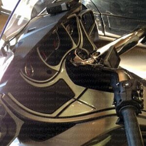 Silver Carbon Fiber on a Silver RT Spyder.. I like the combo.