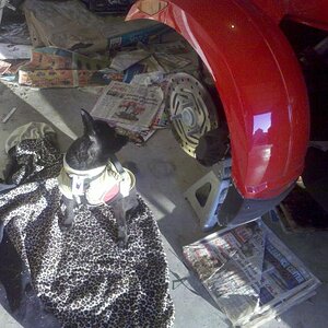 "The Boss" do'n his job.