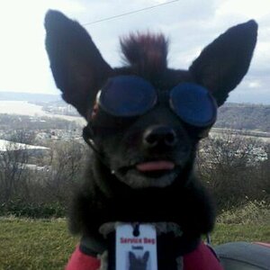 IMG 20120117 143845 1