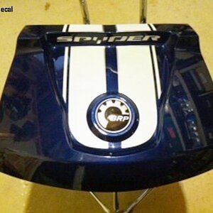 Spyder text added to rear bags of the RT. It fills the void real nice and looks great.