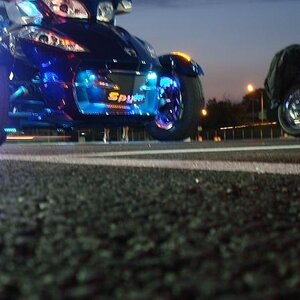 Take a look what more can we say, but thanks China Trees for the great pic.