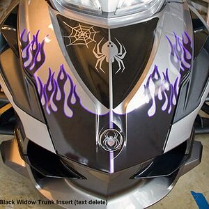 Best flame w RT-Black Widow trunk insert (text delete) Best flame is available in many other color combos if needed.