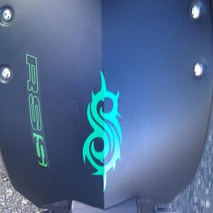 Representing Maggots