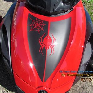 RS Trunk Insert kit-  Black widow design with no text. Produce in matte black & installed by Bob Doddirdge.