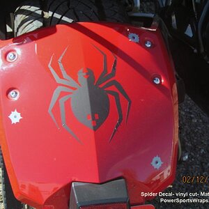 We produce a matching spider for his rear fender just to keep the them going on each side of the machine.