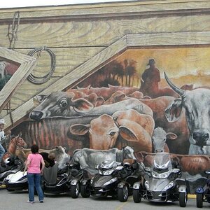 430563 10150680245710908 609690907 11261871 1106126772 n