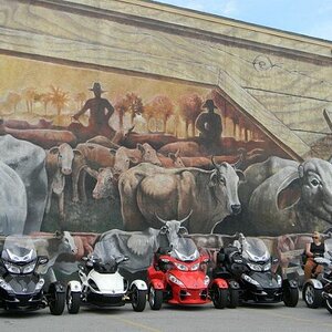 419364 10150680246185908 609690907 11261875 1378628122 n