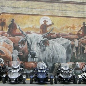 406457 10150680245925908 609690907 11261873 1428060011 n