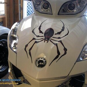 We have created this to fit nicely on the trunk or an RT or RS model Spyder.  Easy peel & stick apply.. we provide all you need with the decal kit.