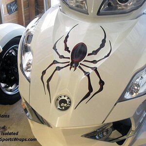 Lots of detail on our new Bellerdine Isolated spider decal. 3D effects really make this spider decal unique in its appearance.