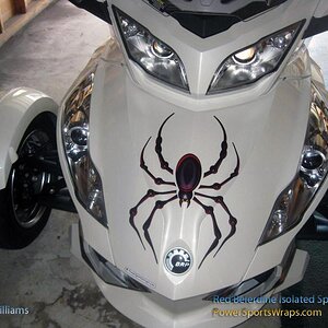Spider Decal: Bellerdine Isolated available in LG or Med size or we can produce custom size.  PowerSportswraps.com  814-838-6377