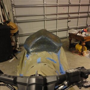 Stinger in Development Large Design 016