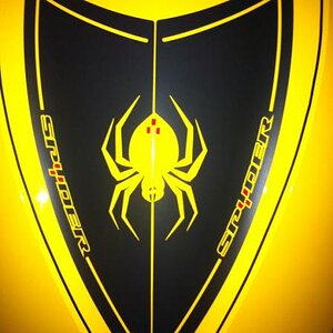 RS Trunk Insert KM Edition kit 2