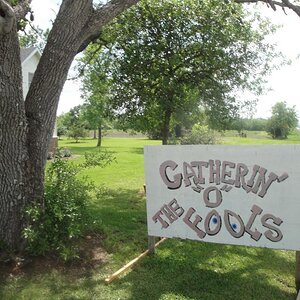 Gathering of the Fools...  March 31, 2012