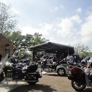 Gathering of the Fools...  March 31, 2012