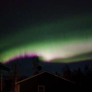 northern lights in Palmer Alaska