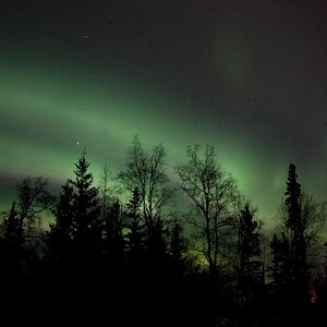 northern lights view from the house