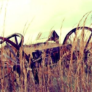 wilson0 R2 E009[1] The wagon and farm I grew up on...Hancock County, Georgia....