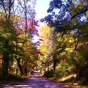 IMG 20111014 00224 Forest Service trail in the fall, Rabun County