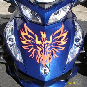 Custom RT Trunk Graphic 2- Print cut a great color combo for a number of different colors.