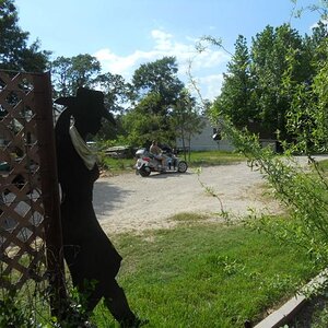 White out the black 007