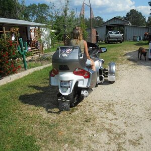 White out the black 010