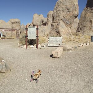 cor .5 mile trail (2)