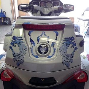 Custom Dragon design .. this is what we came up with for her rear bags.