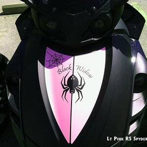 Pink Black widow RS shield 3