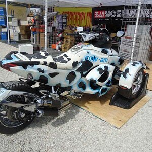 vendor village cow am  Wed 4 25 12